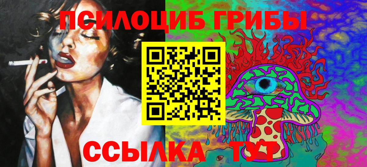 Галлюциногенные грибы Psilocybine cubensis Нижний Новгород