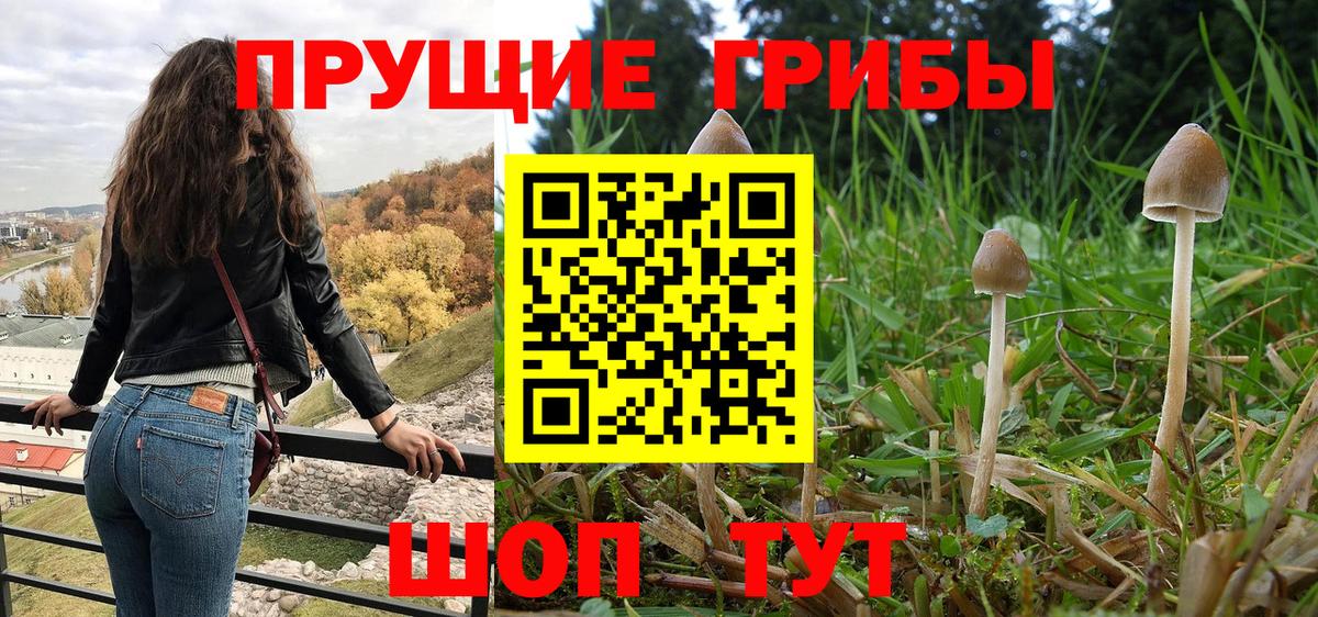 Псилоцибиновые грибы прущие грибы  Вход с VPN  Галлюциногенные грибы MAGIC MUSHROOMS  Нижний Новгород 